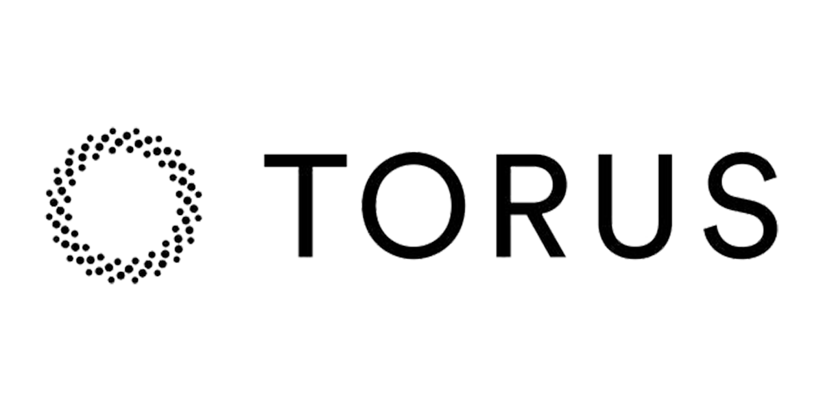 Torus logo